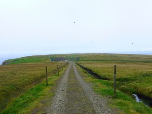 The end of the world
