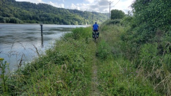 The jungle trail